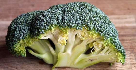 Broccoli: Is It Good for You? Nutrition Facts, Health Benefits