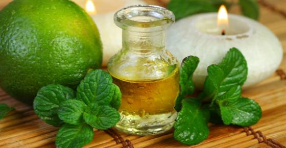 Proven Uses and Benefits of Peppermint Oil (Peppermint Essential Oil)