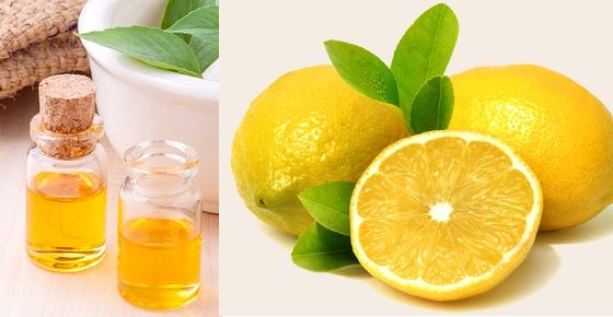 Scientifically Proven Benefits and Uses of Lemon Oil (Lemon Essential Oil)