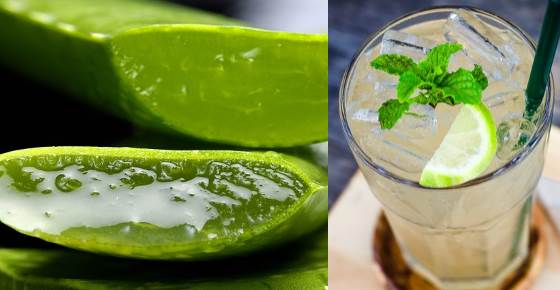 Proven Benefits and Side Effects of Drinking Aloe Vera Juice (Science Based)