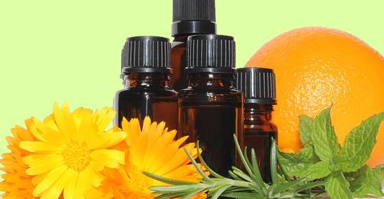 Proven Essential Oils for Hemorrhoids: Tea Tree, Lavender and More