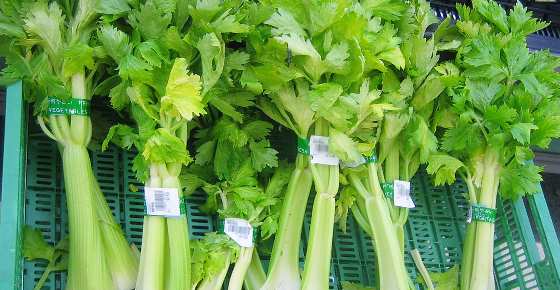 Celery: Proven Benefits, Nutrition Facts, Is it Good for You