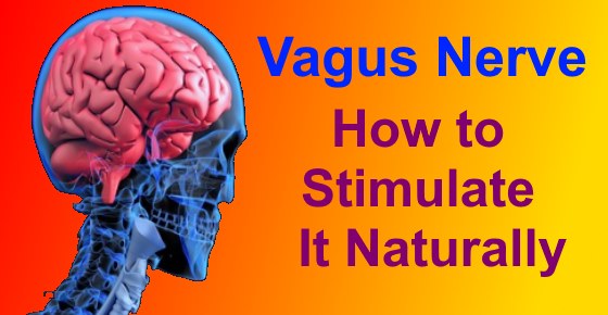 Vagus Nerve: Function and How to Stimulate It Naturally (Research Based)