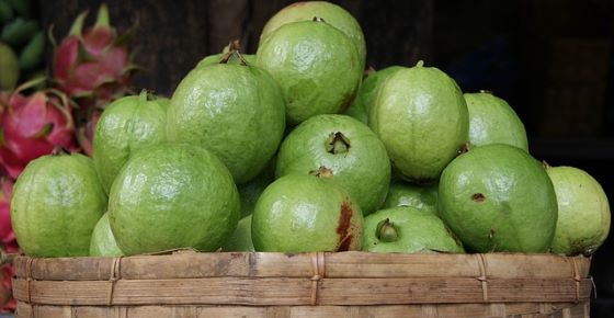 Health Benefits of Guava Fruit and Leaves & How to Eat Guava