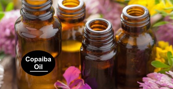 Copaiba Oil: Uses and Benefits for Pain Relief and More