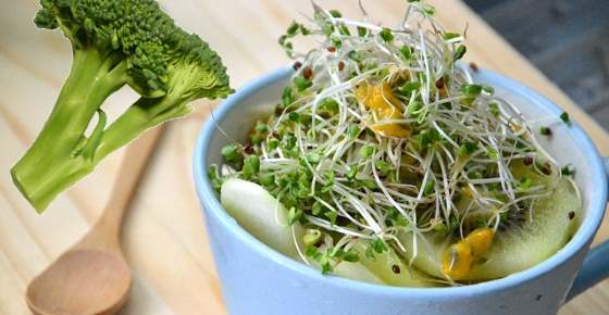 Broccoli Sprouts Benefits and How to Grow Broccoli Sprouts at Home