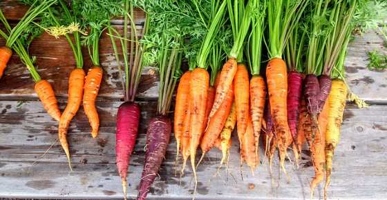 Carrots: Health Benefits and Nutrition Facts (Calories, Carbs, Fiber, Vitamins)