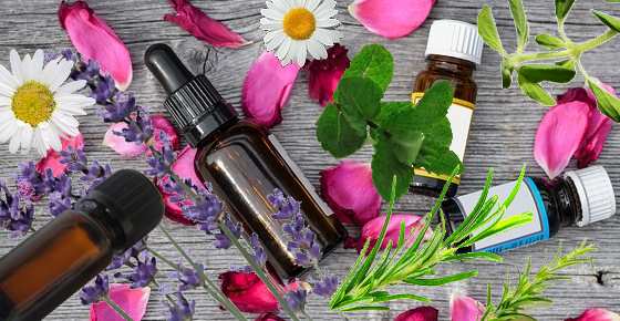 The Best Essential Oils to Have in Your Home