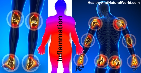 Inflammatory Foods: Proven Foods to Avoid that Cause Inflammation