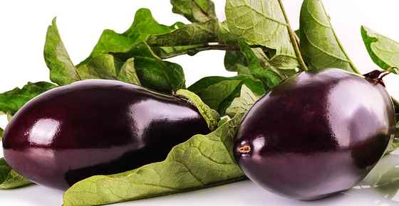 Health benefits and nutrition of eggplant