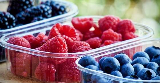Foods High in Polyphenols