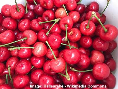 royal ann cherries